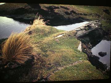 Campbell Island, piece of the wreckage